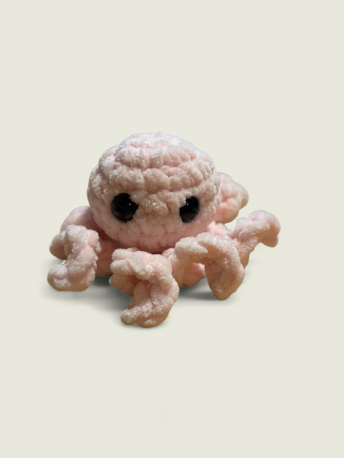 Baby octopus