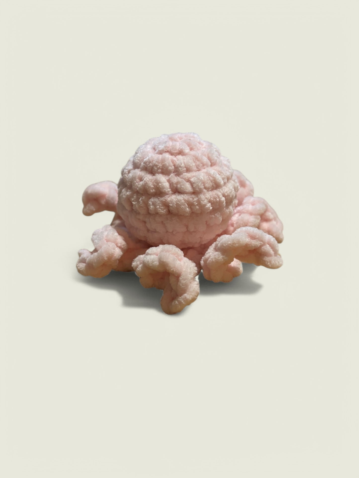 Baby octopus