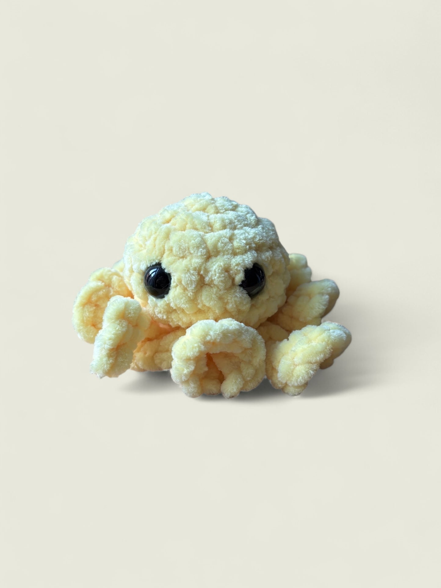 Baby octopus