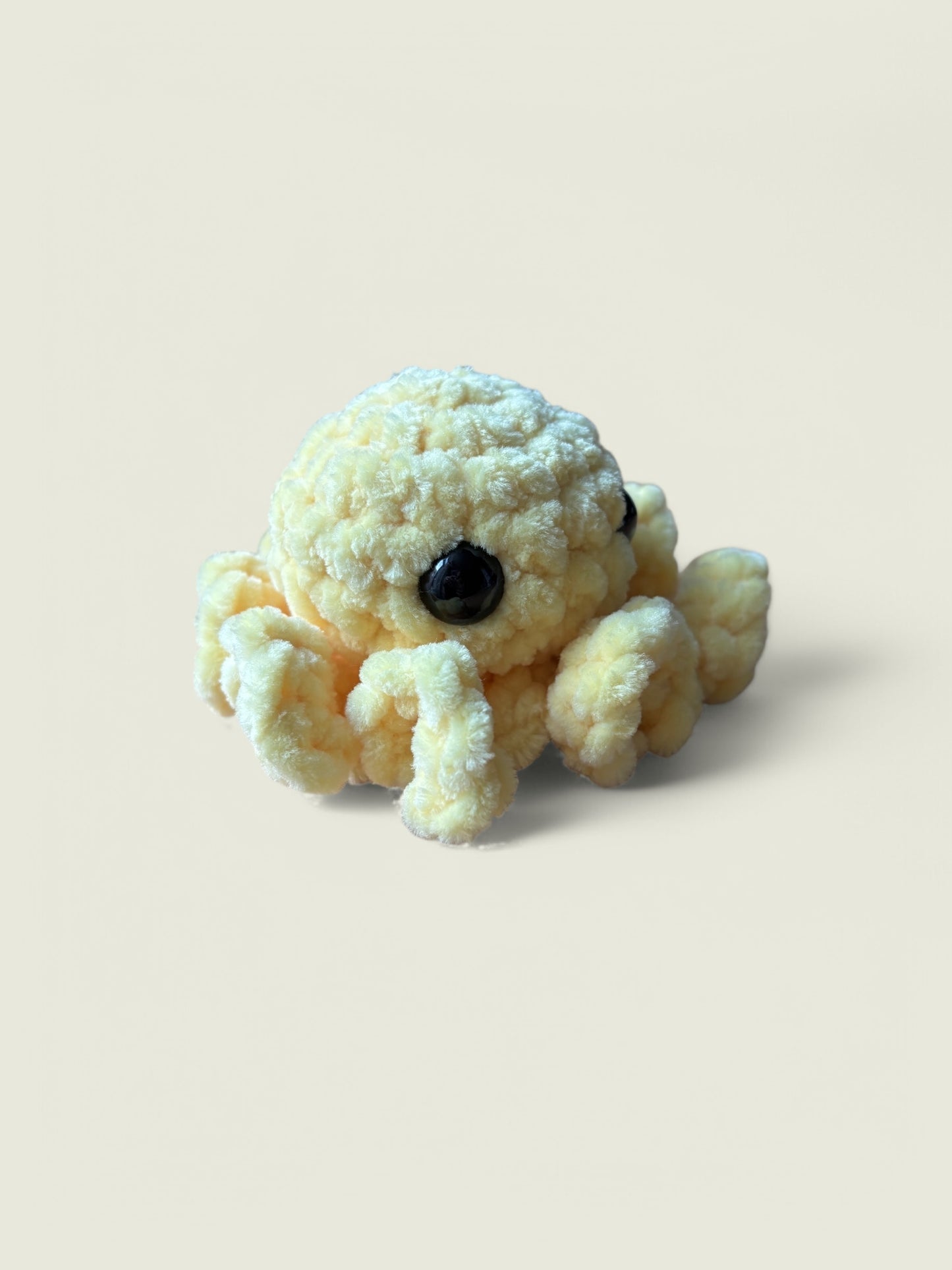 Baby octopus