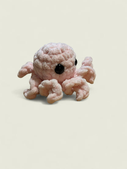 Baby octopus