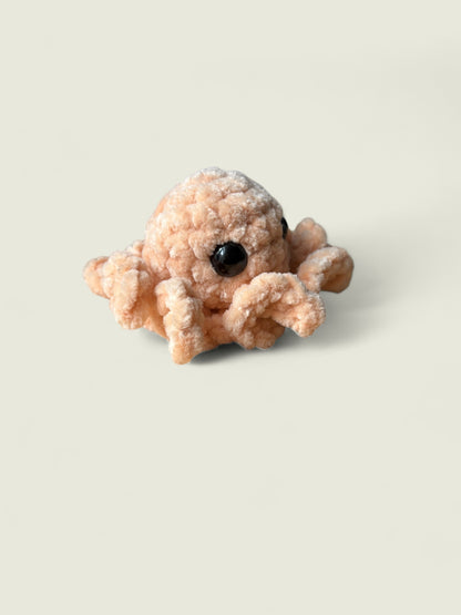 Baby octopus