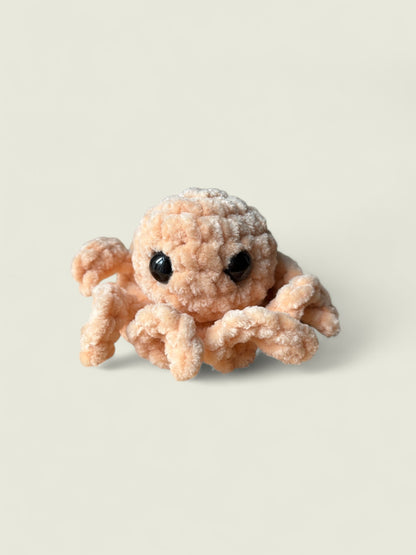 Baby octopus