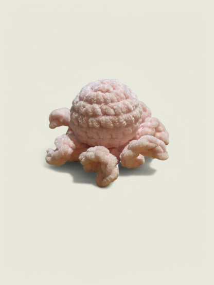Baby octopus